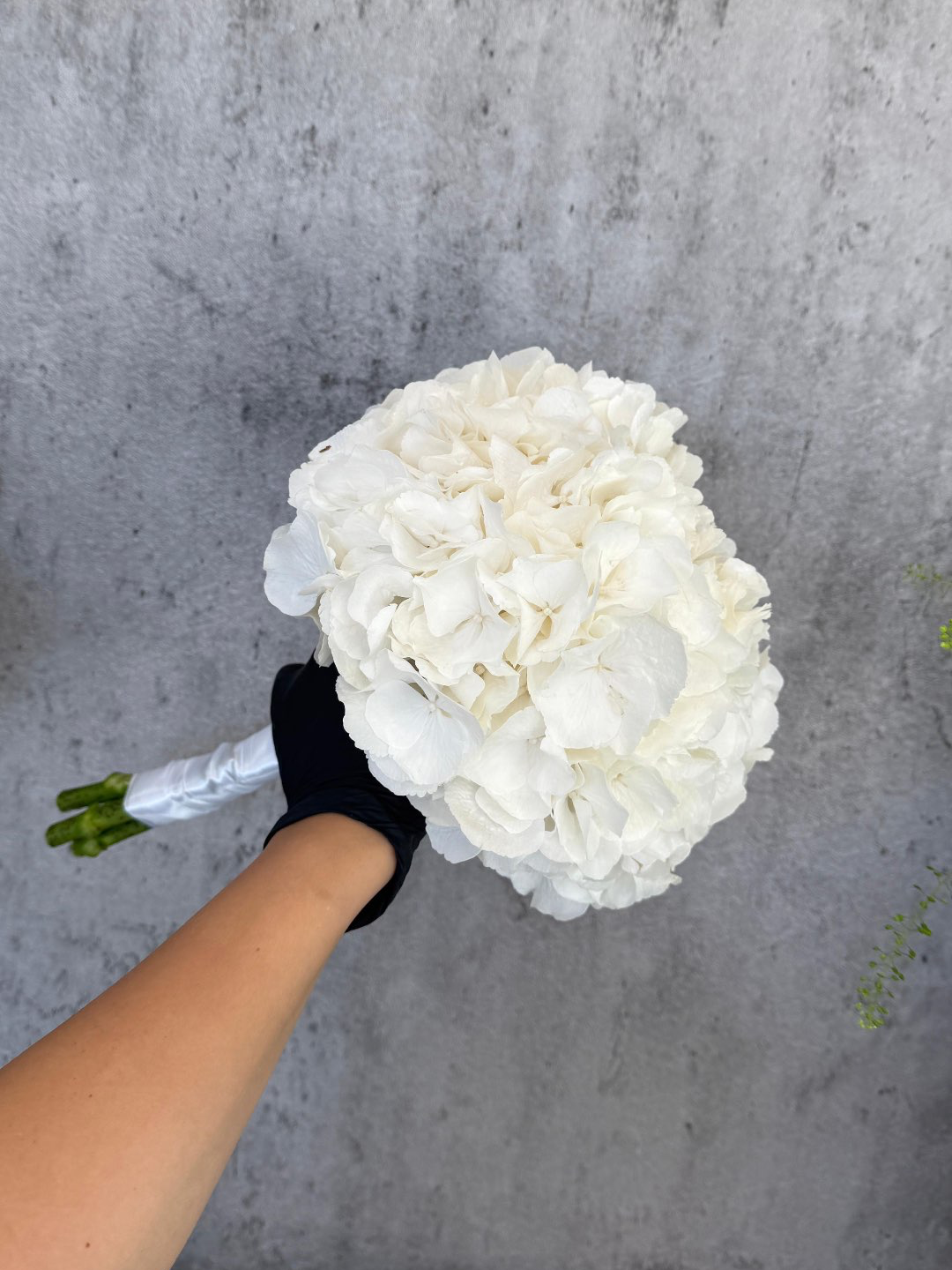 זר כלה | קישוט רכב