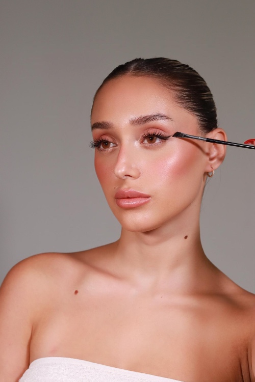 מברשת מדויקת לאיילנר