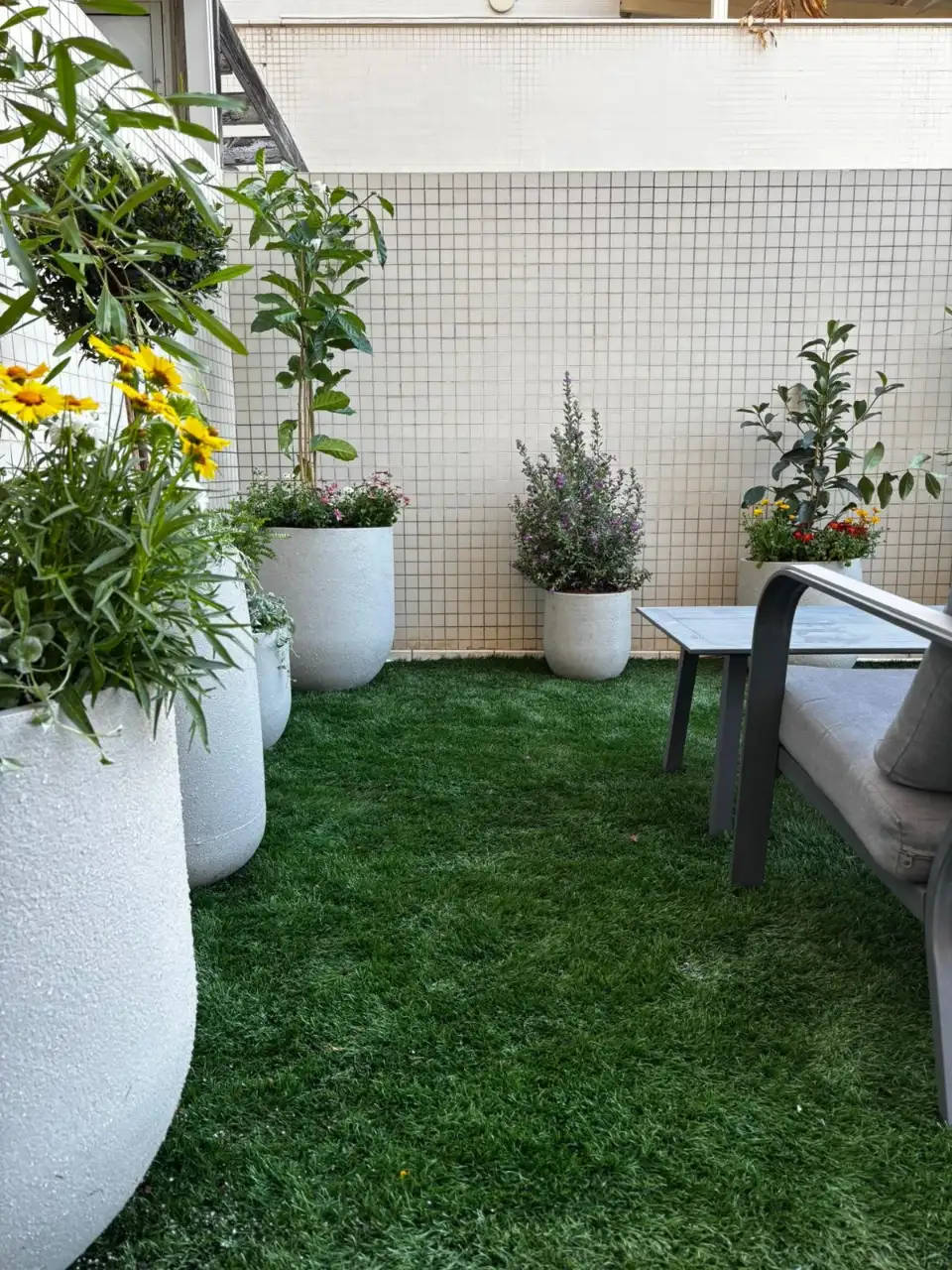 שתילה מחודשת בהתאם לעונות השנה