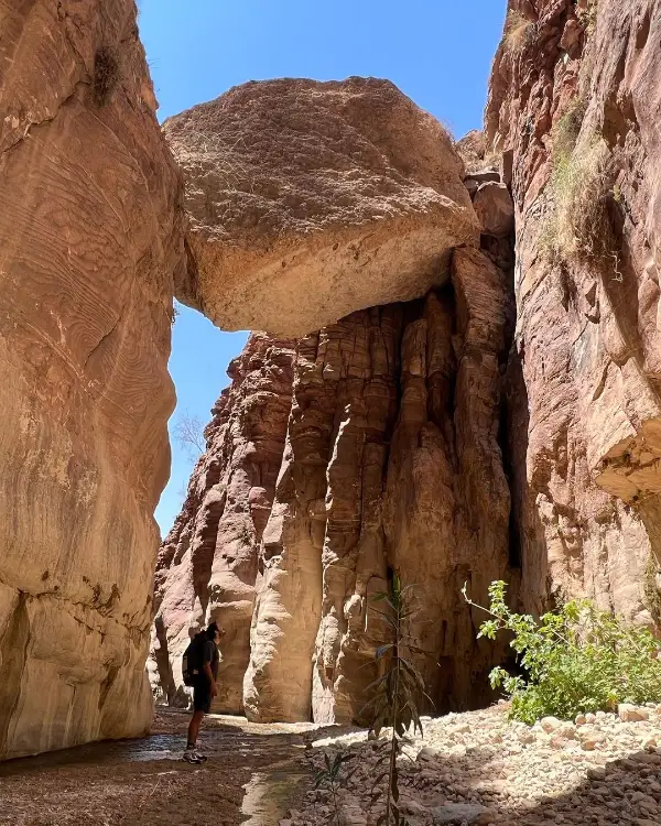 רק חלק מהמקומות היפים שאפשר לטייל בהם בארץ ישראל