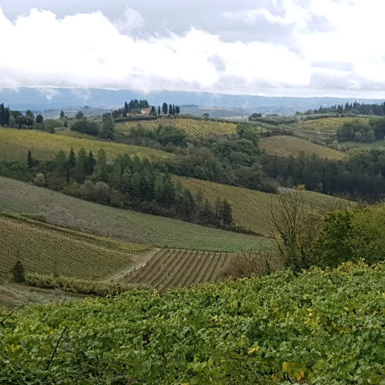 טוסקנה אהובתי 