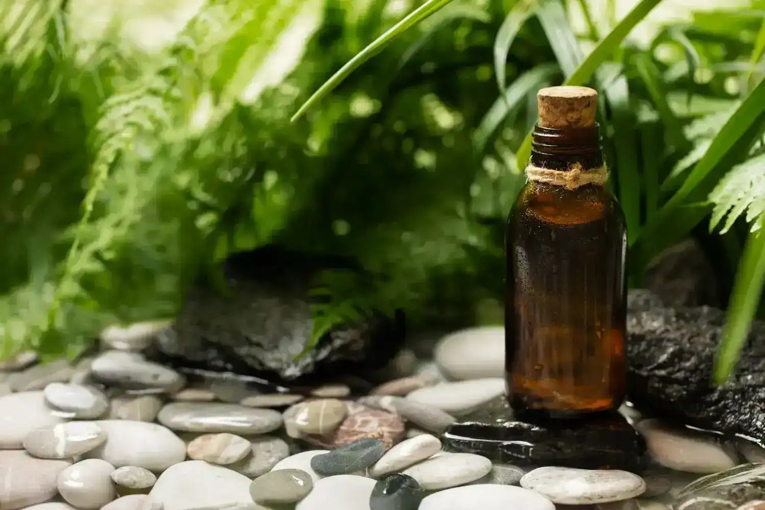 הדרך לשינה טובה לילדים (והורים)