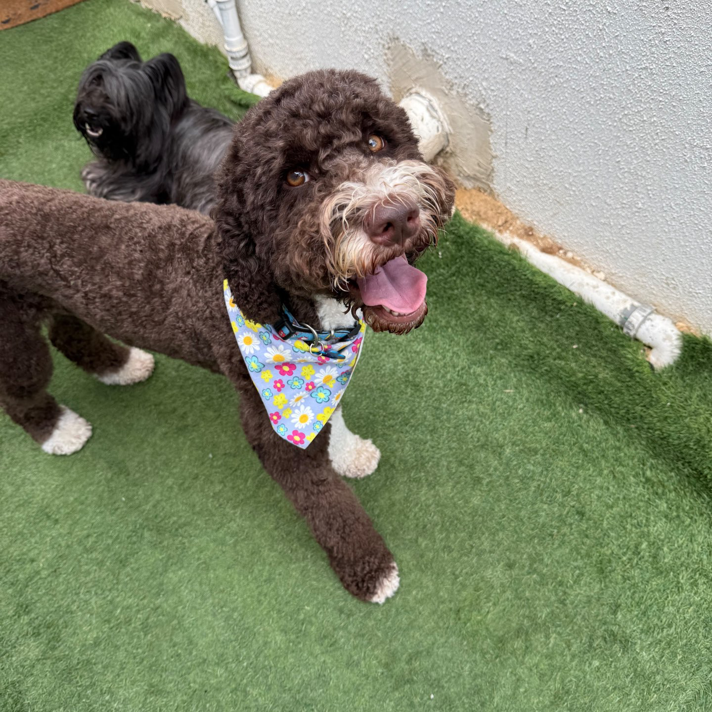 פנסיון שהות