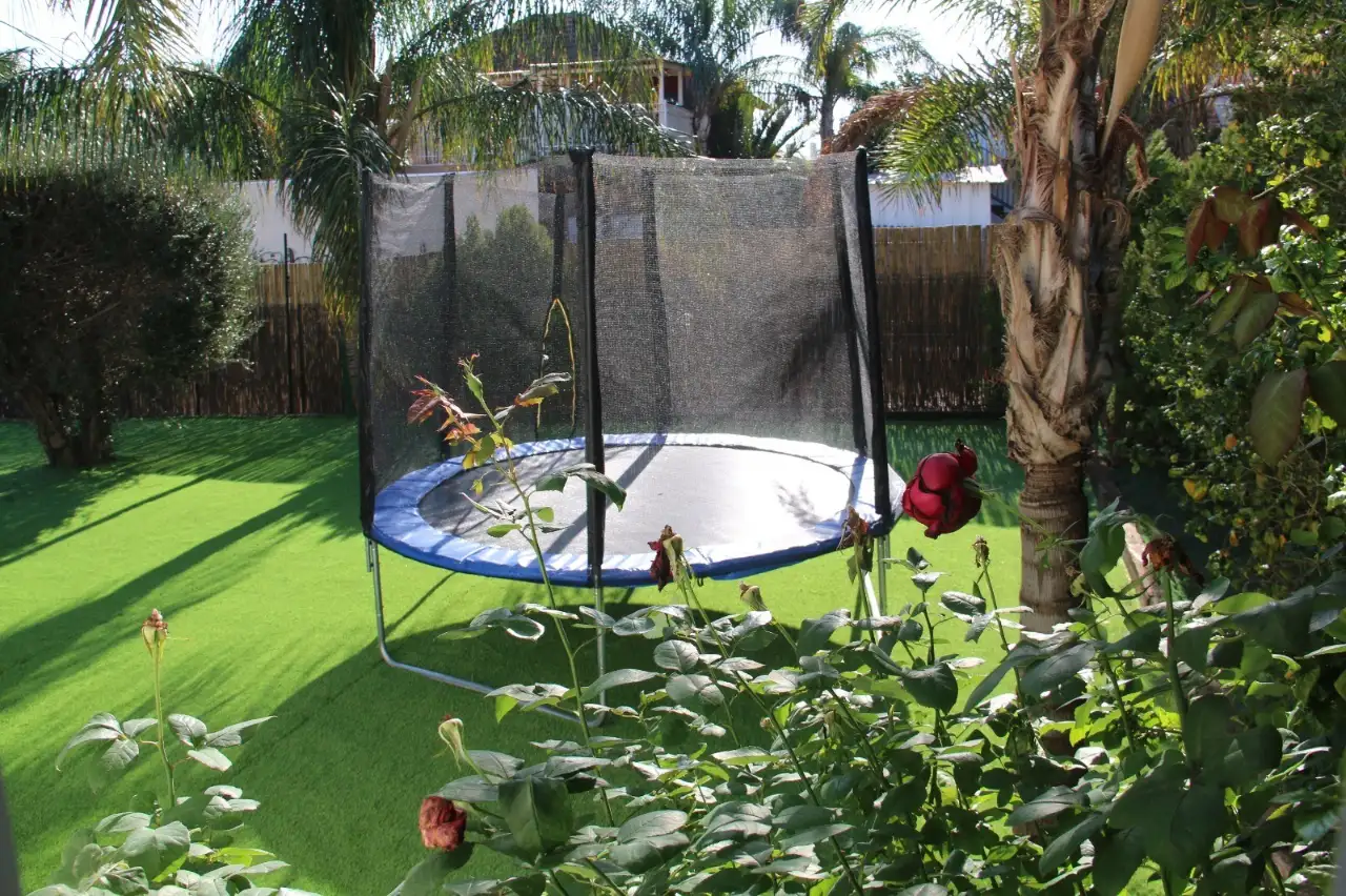 דובדבן - Dovdevan