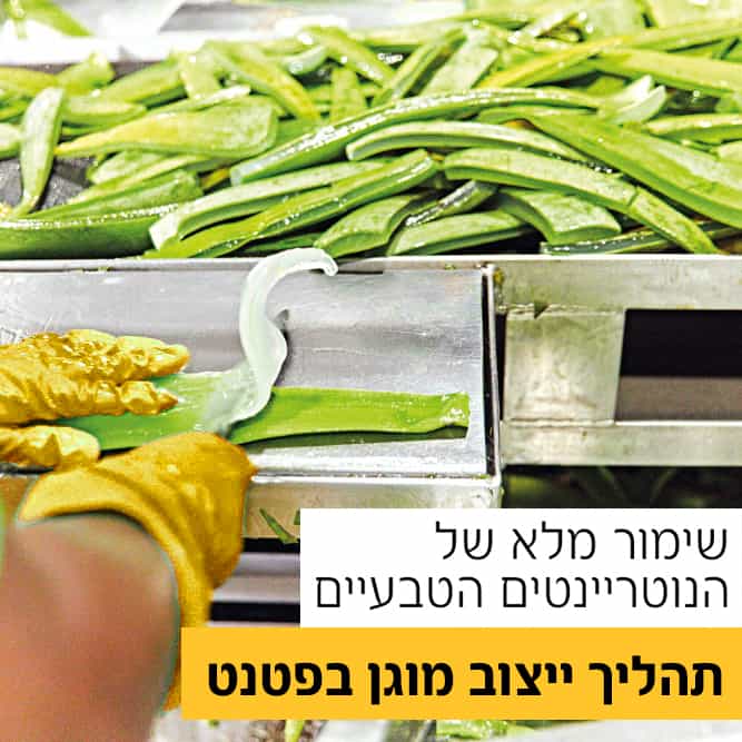 ג'ל אלוורה לשתייה