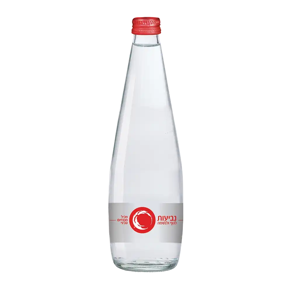 מים מינרלים