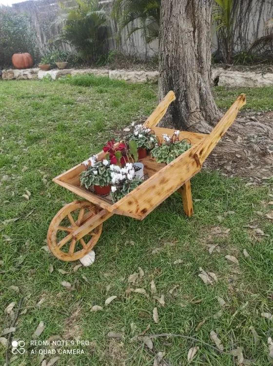 מריצה מעוצבת לנוי