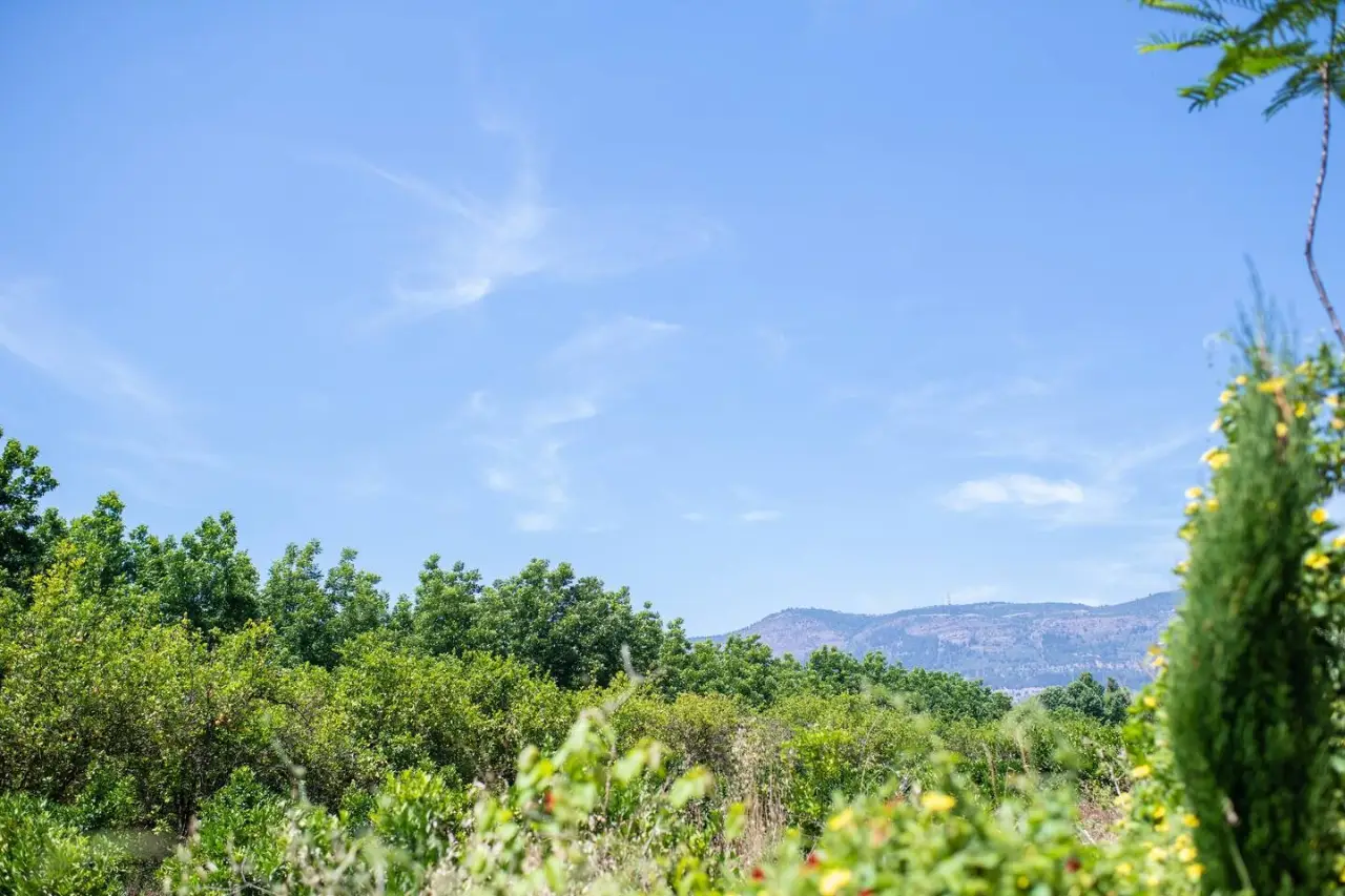 אטרקציות מומלצות ליד בית הלל והגליל העליון