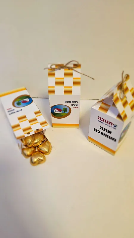 קרטון חלב במילוי שוקולדים