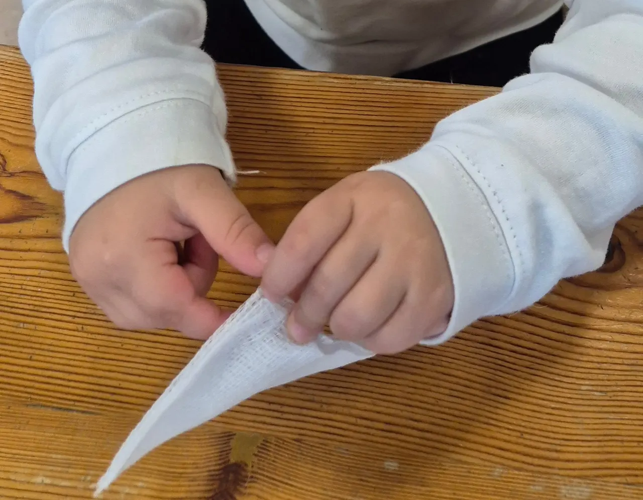 Tu Bishvat Chia Pads đą