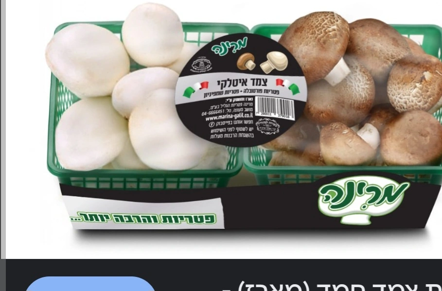 צמד פטריות