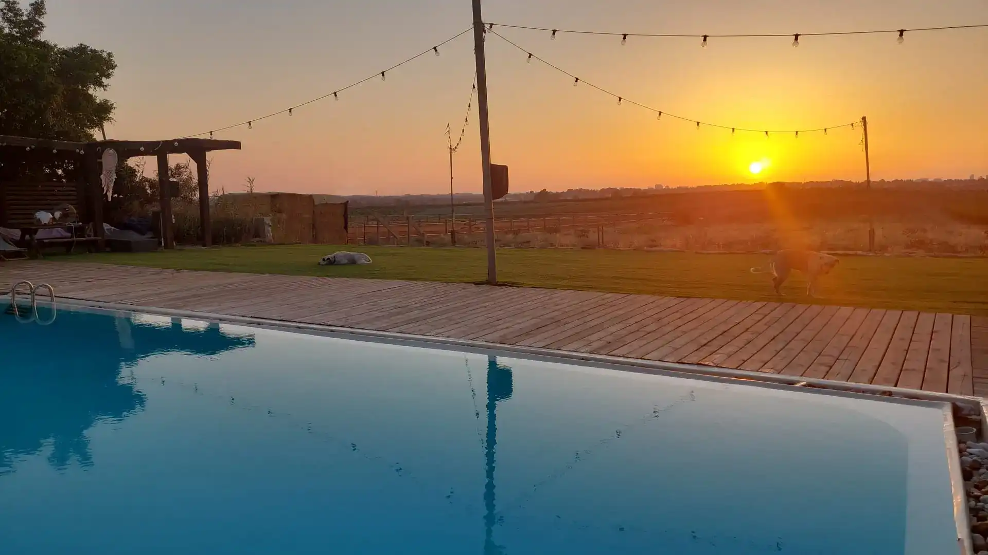 5 רעיונות מקוריים להצעת נישואין בוילה