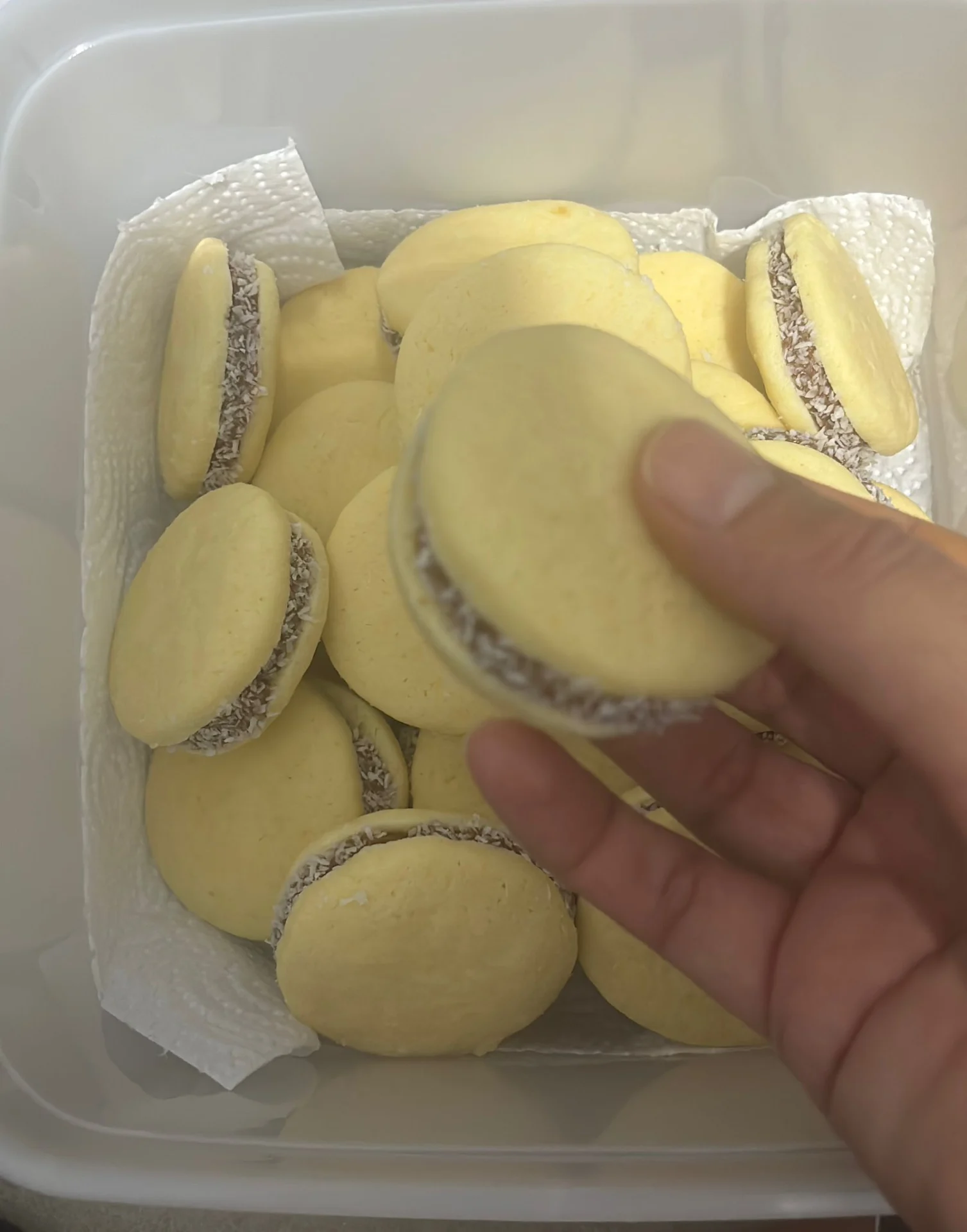 אלפחורס