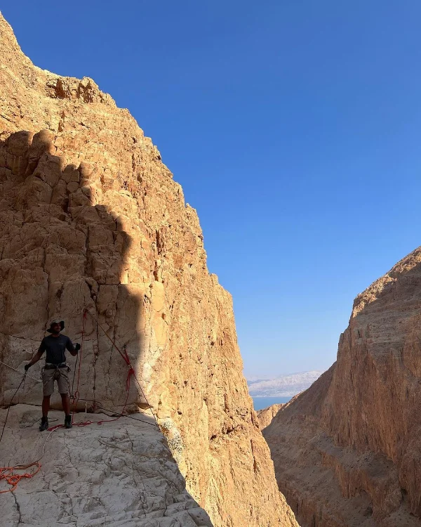סיורים מאורגנים באוטובוס