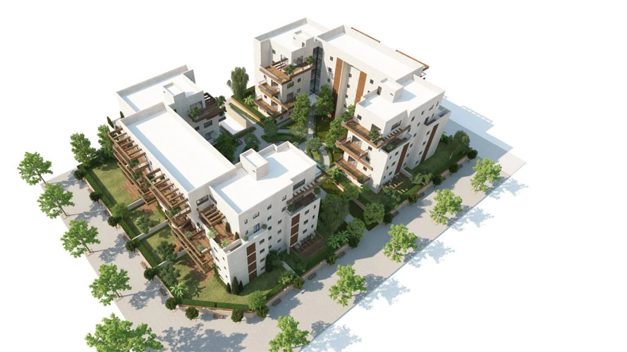 צרפתי בכלניות