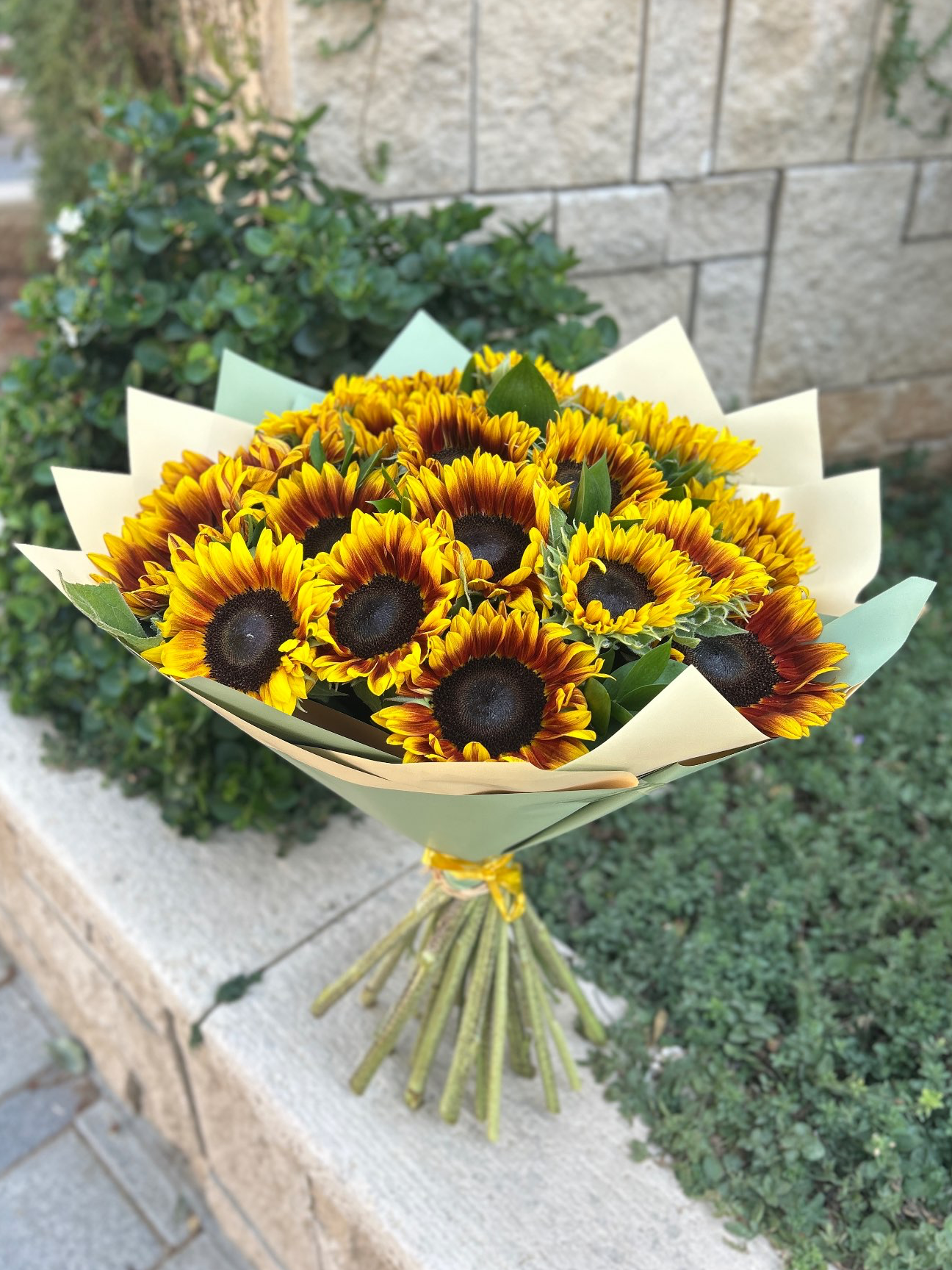 זר חמניות 200₪