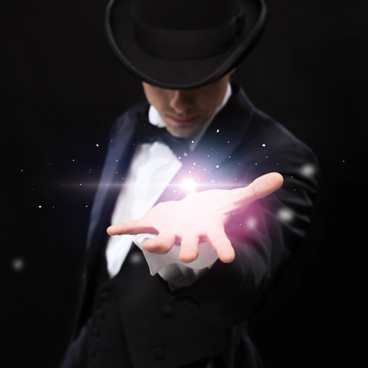 מופעי בידור מקצועיים