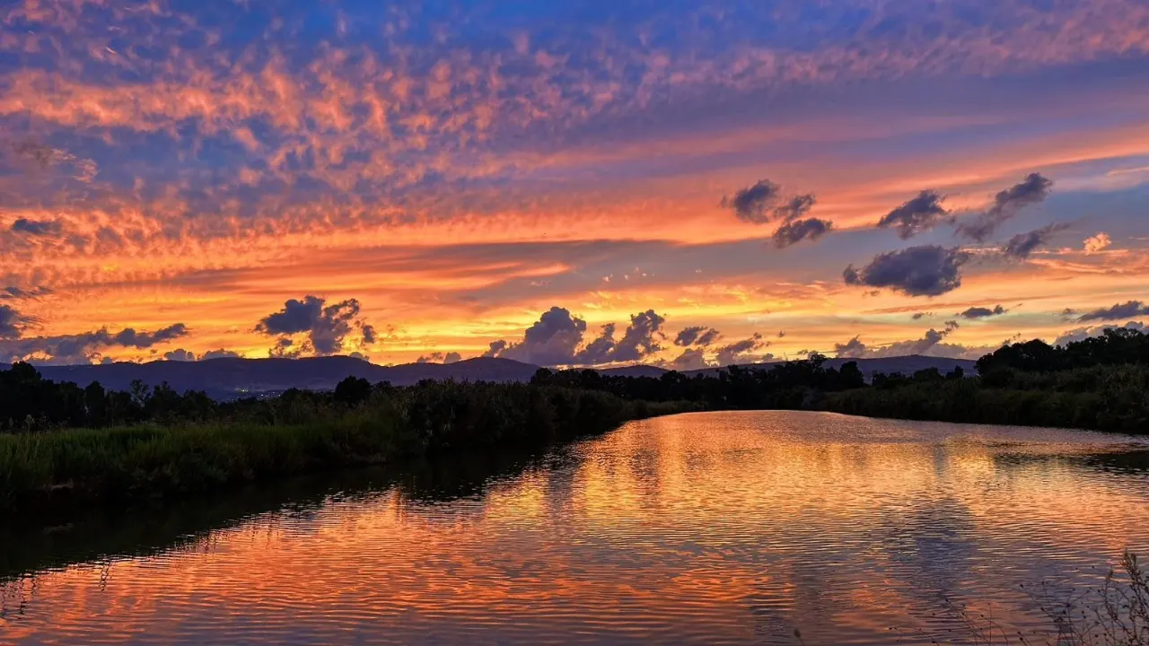 הנוף באיזור