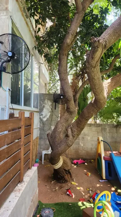 התקנת מאווררים ותנורי חימום   