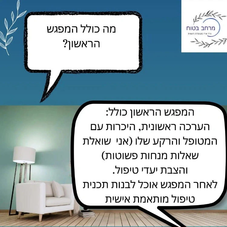 מה כולל המפגש הראשון?