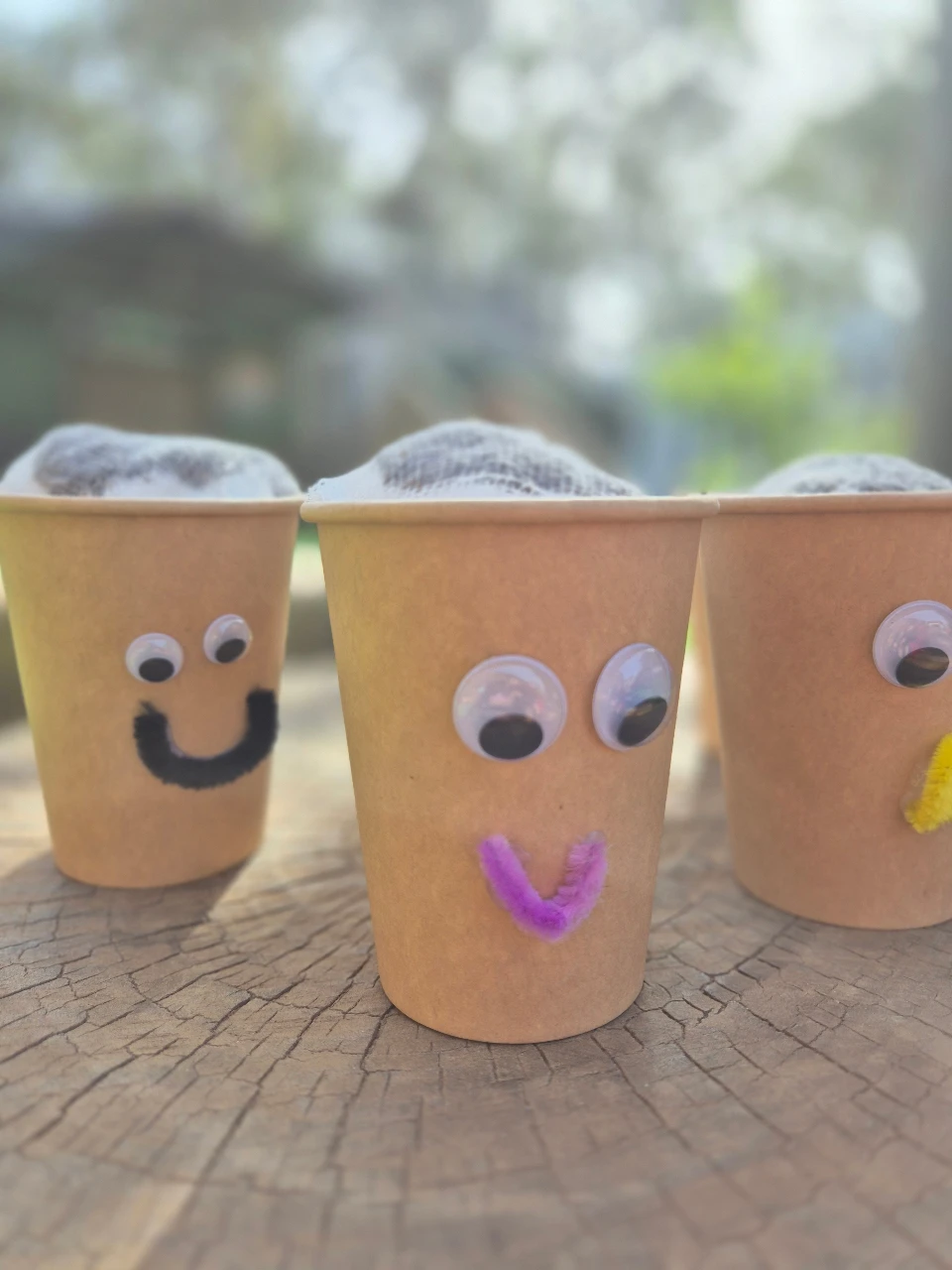 Tu Bishvat Chia Pads 🌱