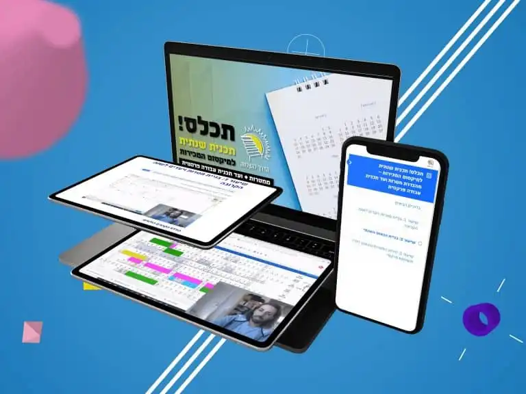 תכלס - תכנית שנתית למיקסום המכירות