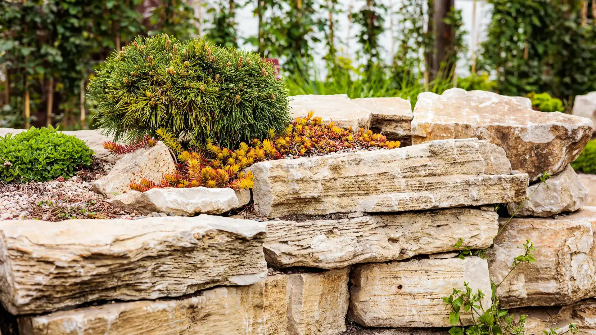 בניית מסלעות לגינה בדרום – פתרון עיצובי ופונקציונלי