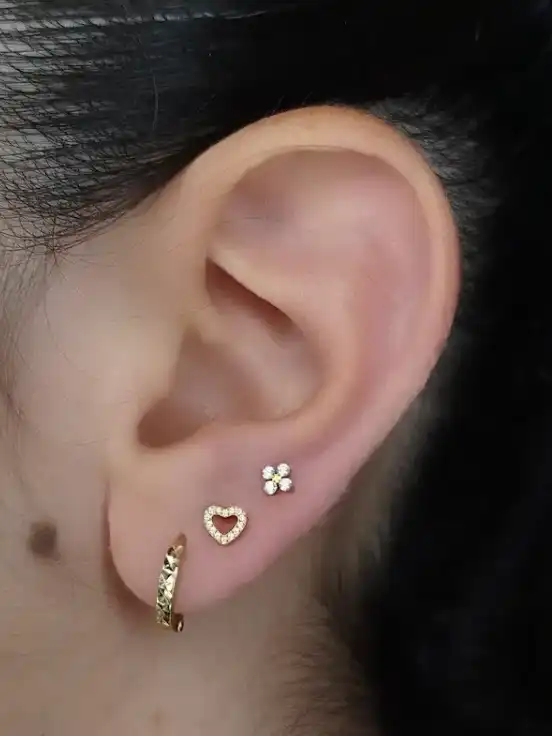 חורים ראשונים בתנוך