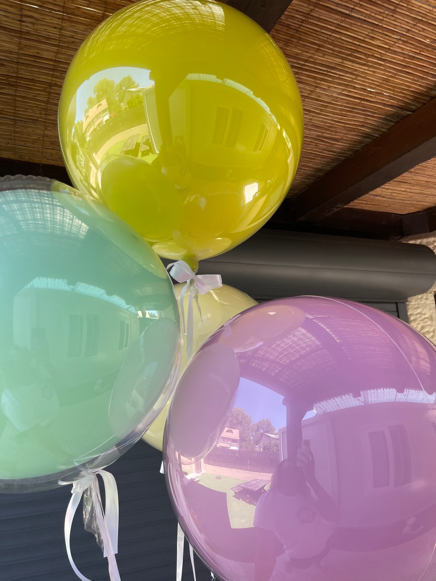 בלונים צבעי פסטל