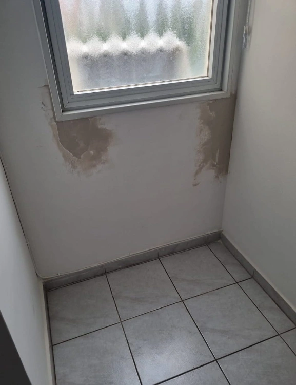 טיפול בבעיות רטיבות