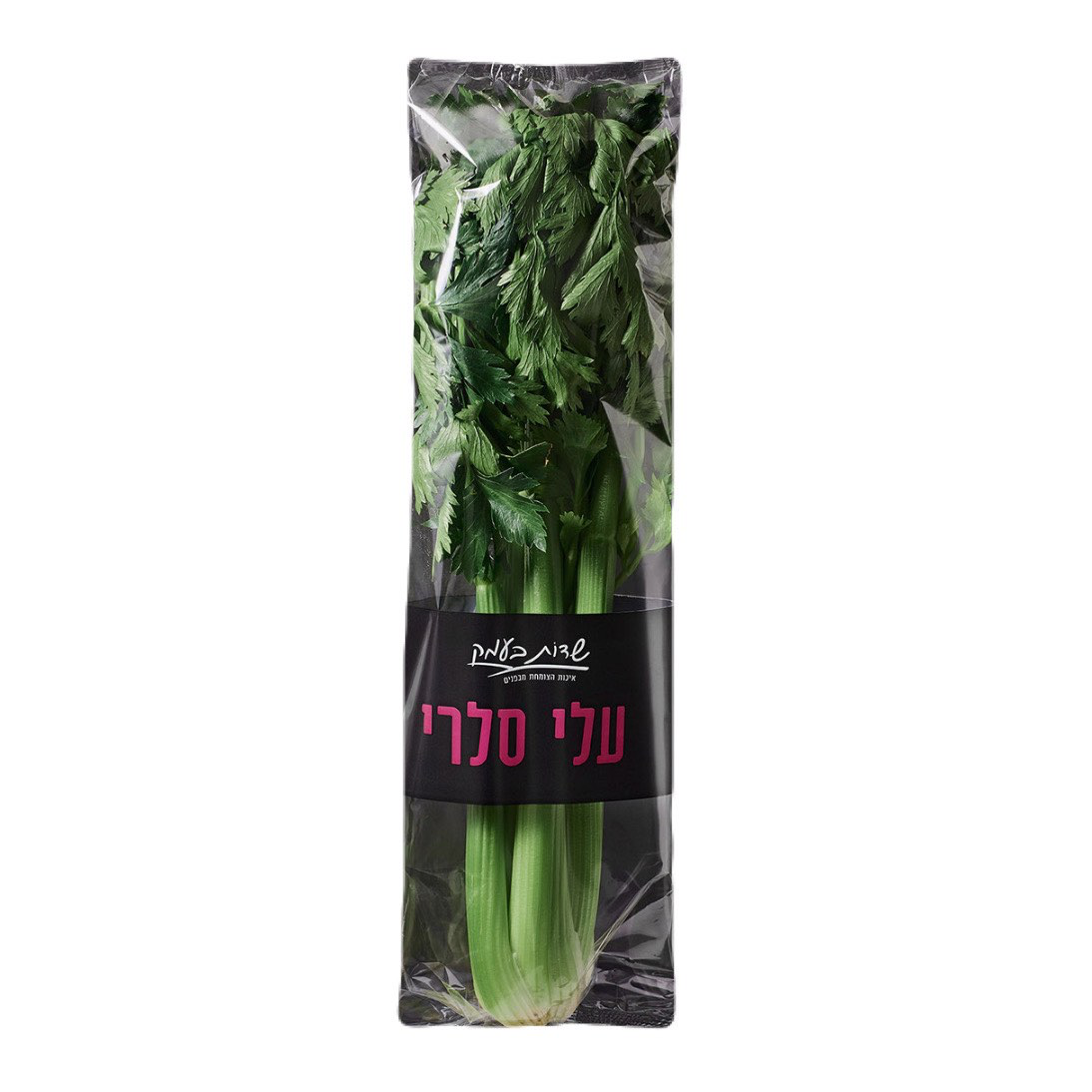 סלרי עלים - שדות בעמק