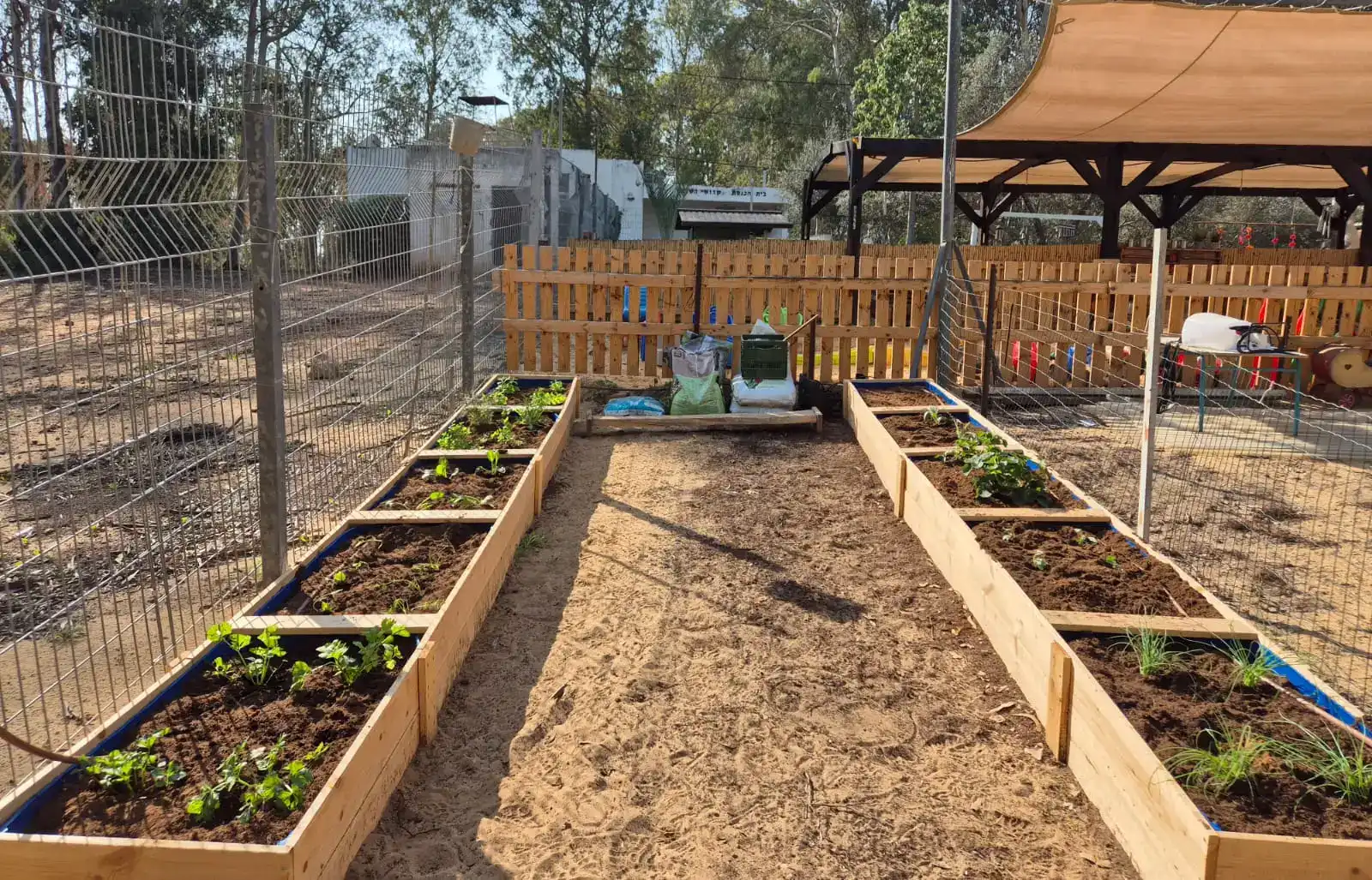 Experiential Learning Through Play and Projects