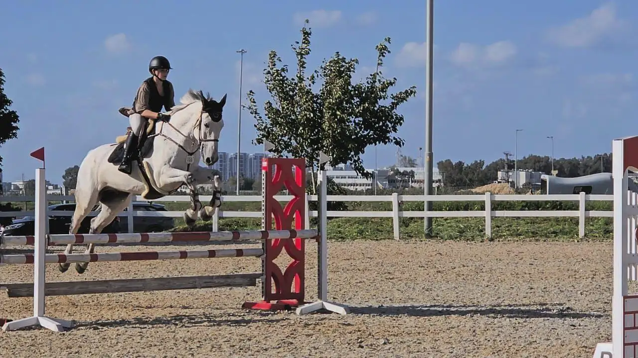 כוחו של טיפול באמצעות סוסים בחוות מרום סטייבלס