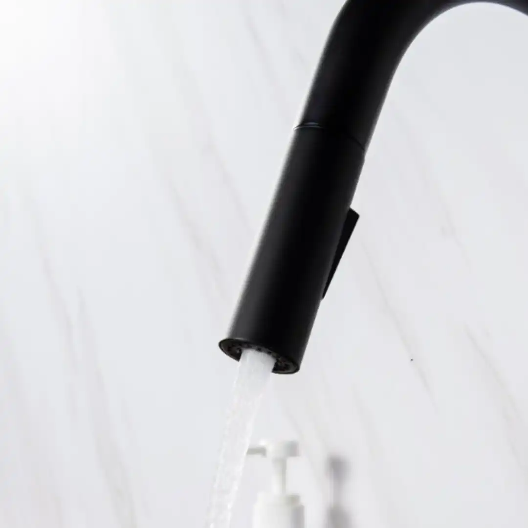 ברז מטבח שניידר שחור מט נשלף