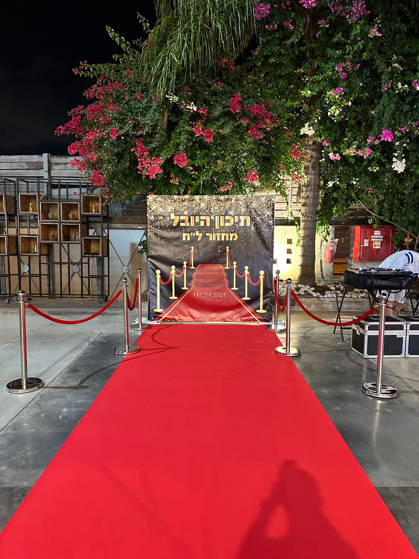 קיר צילום סטייל הוליווד