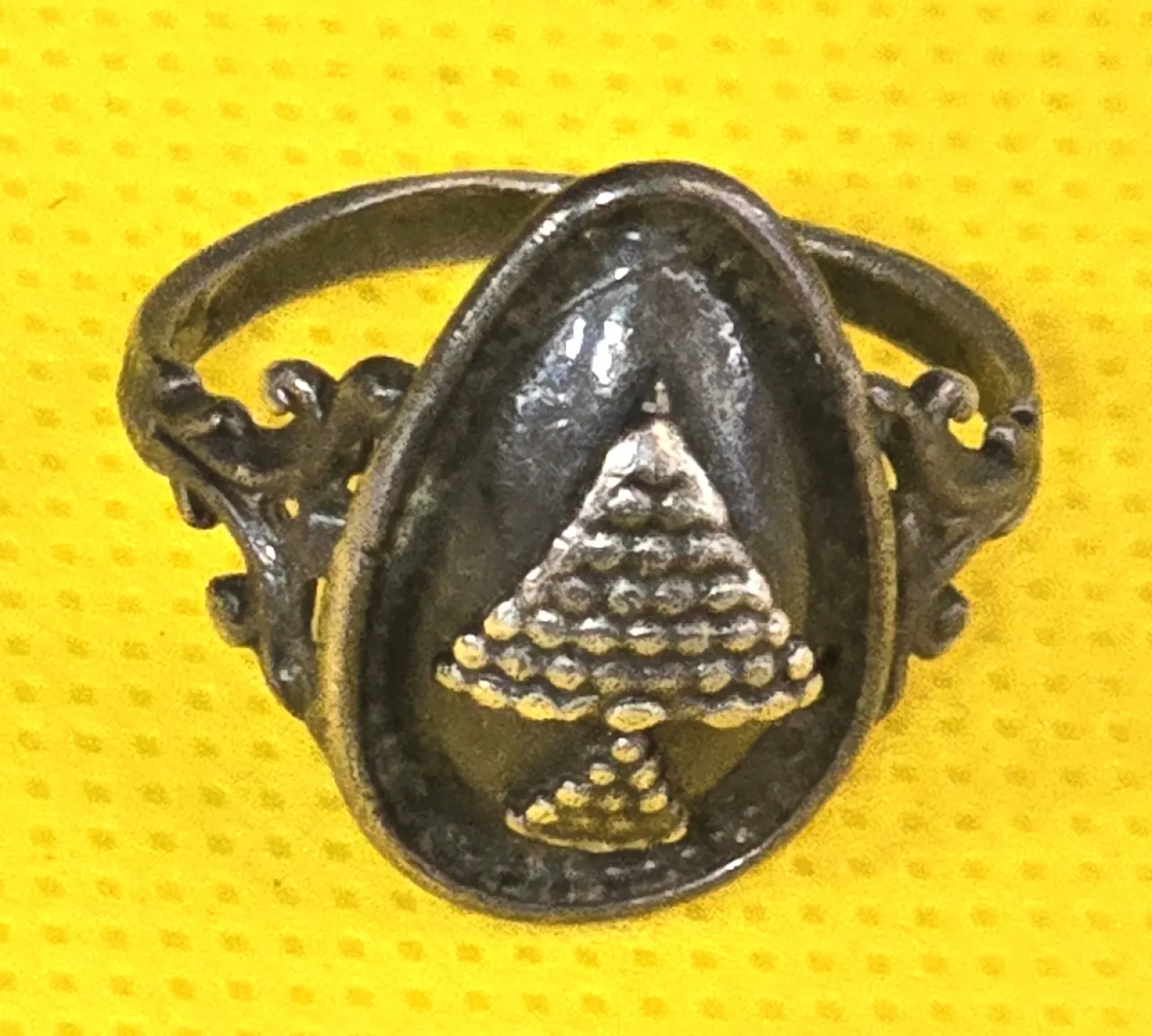 טבעת כסף עם במה אליפטית מעוטרת במרכזה, משקל 3.5 גר', מידה 8