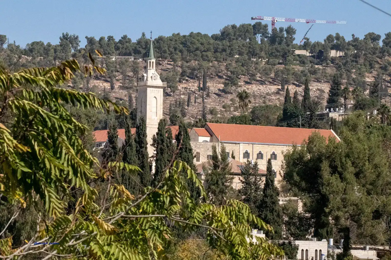 סיור בכפר הפסטורלי עין כרם