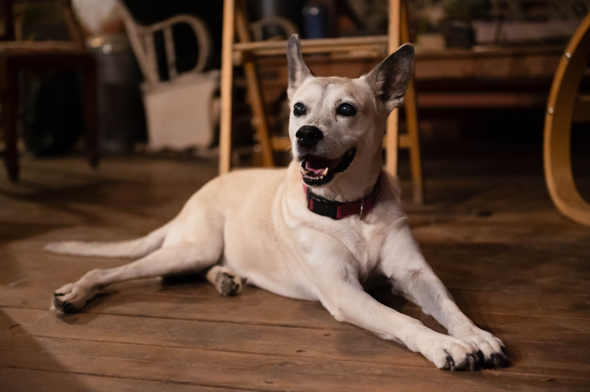 חוויה בלתי נשכחת