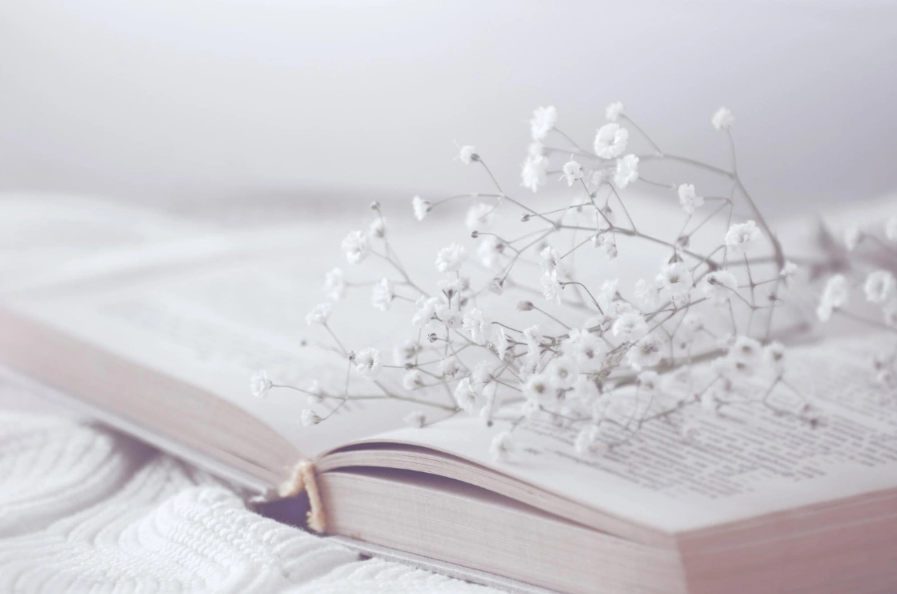 ספר פעולות מעשיות