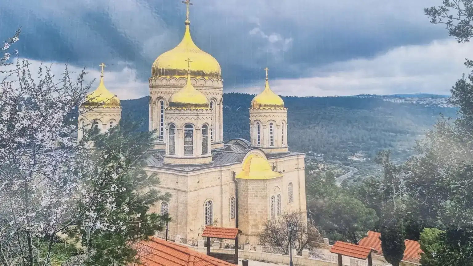 סיור מודרך בעין כרם בירושלים – חוויה אותנטית | טלי יהושע