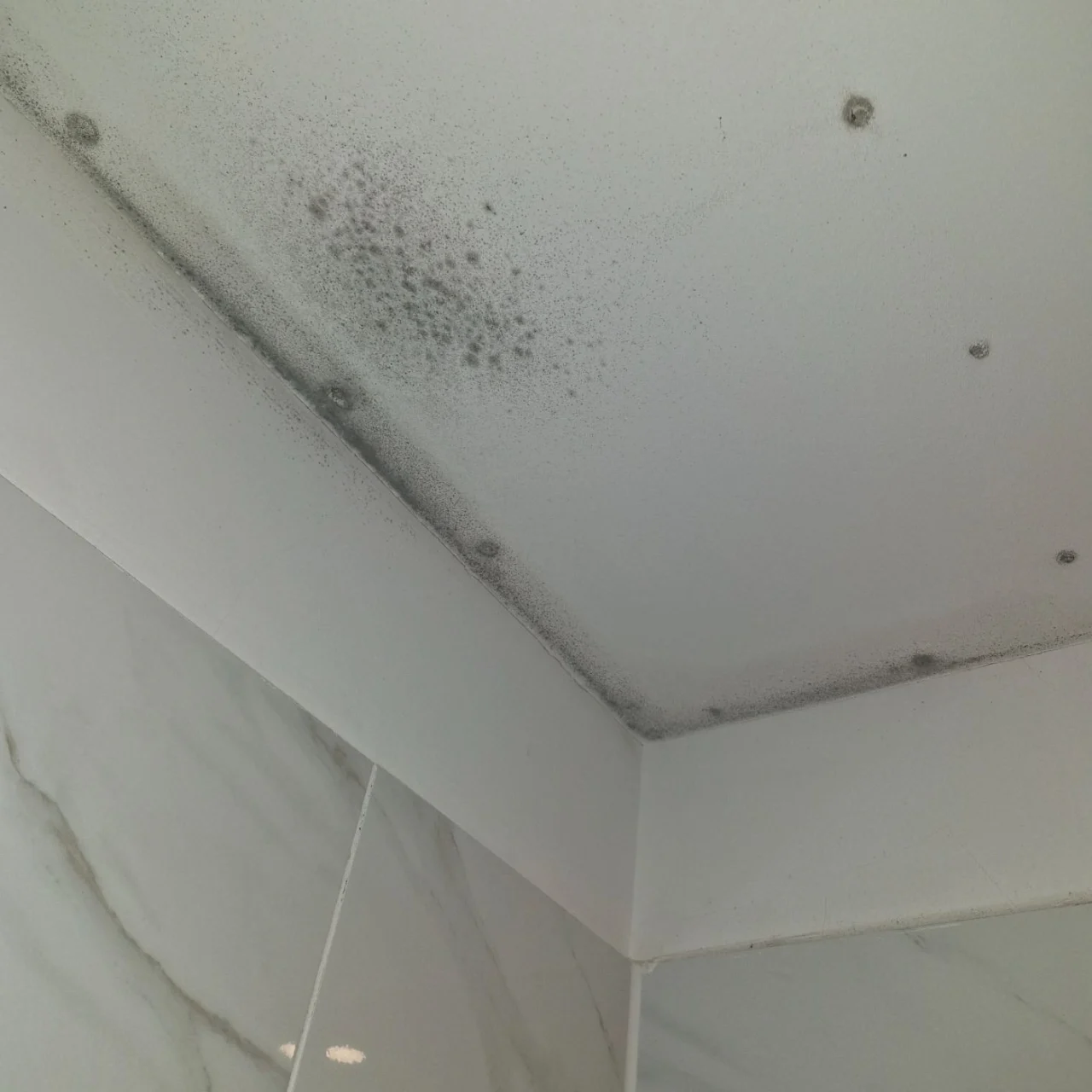 בדק בית דירה יד 2 ע"י מהנדס בניין