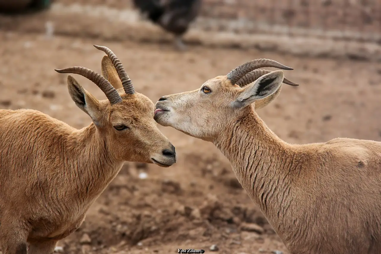 יסודות הצילום שכל צלם חייב להכיר