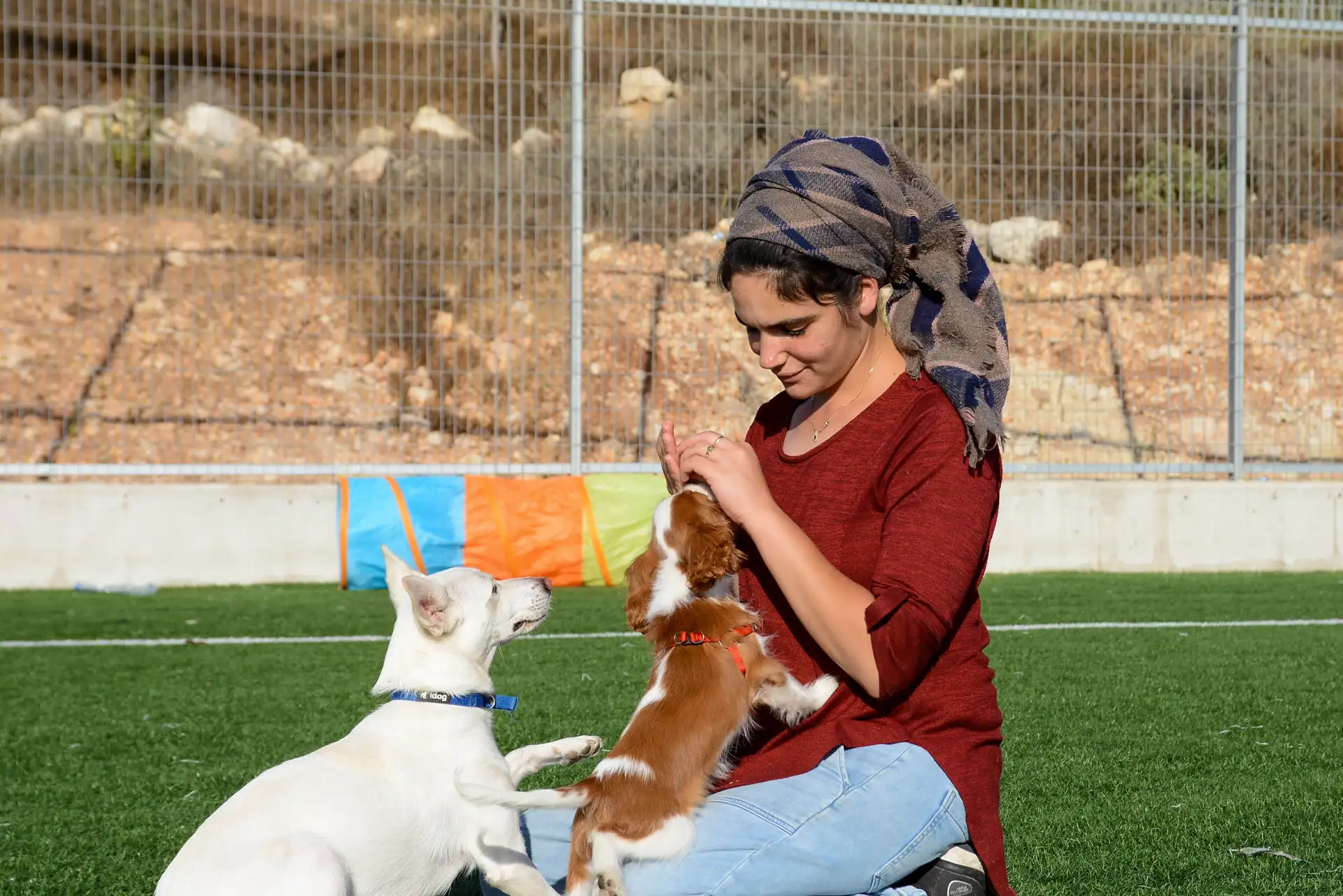 מפגש כלבנות טיפולית פרטני