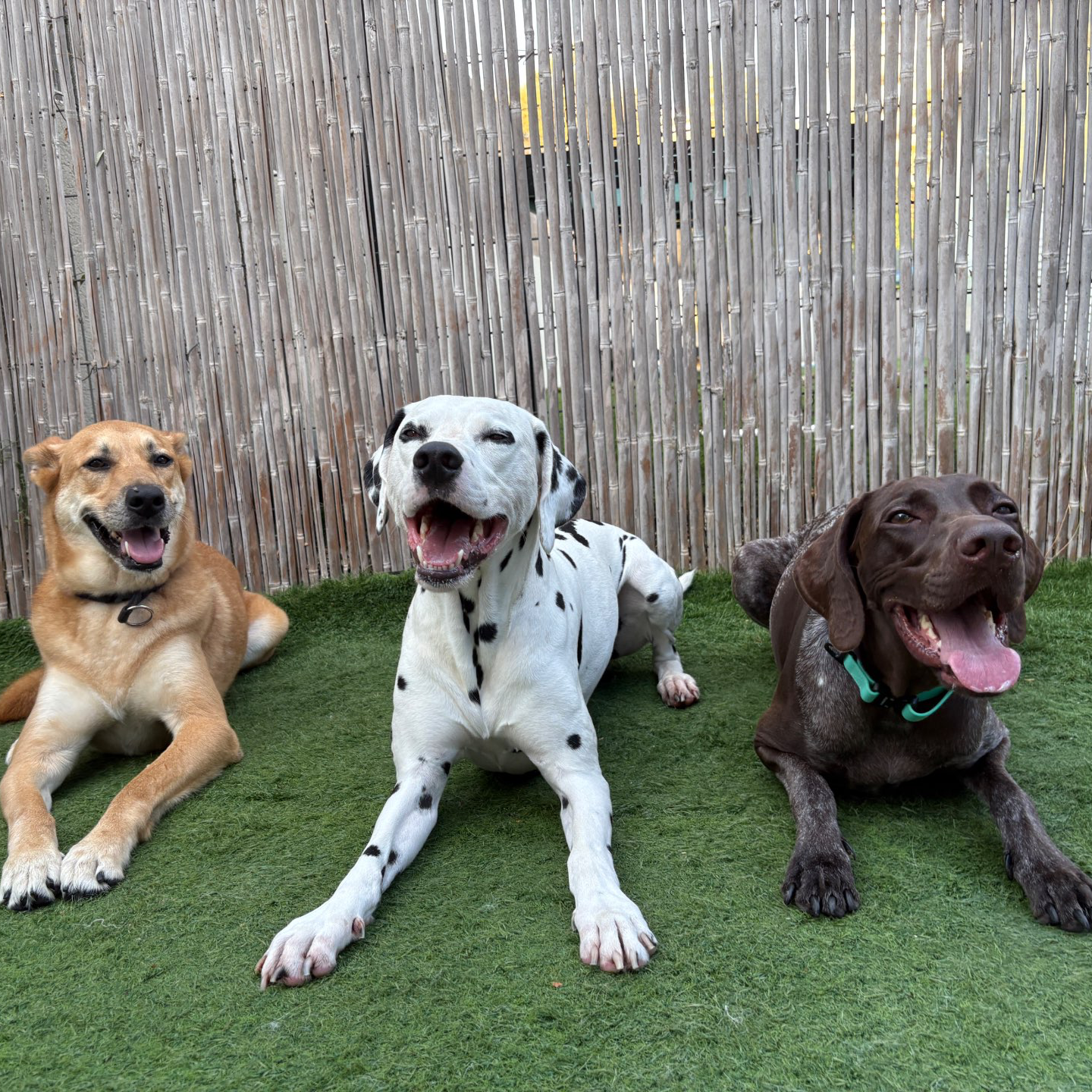 פנסיון שהות