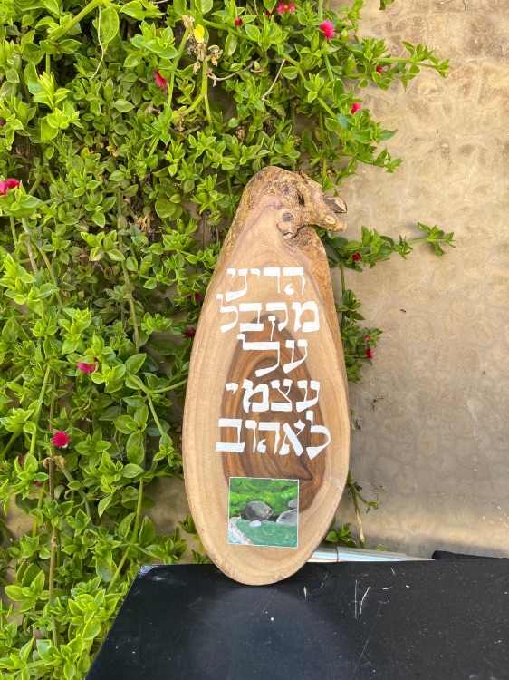 משפט על עץ