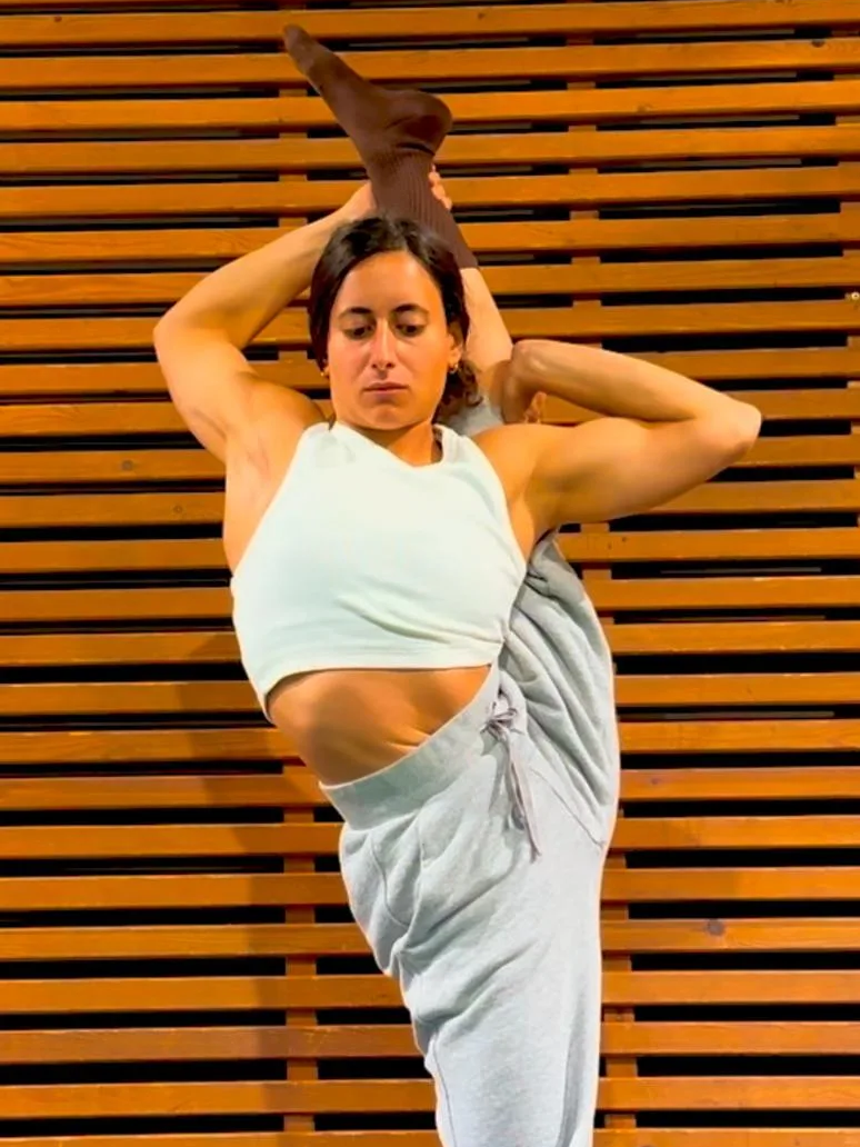 שיעורי גמישות