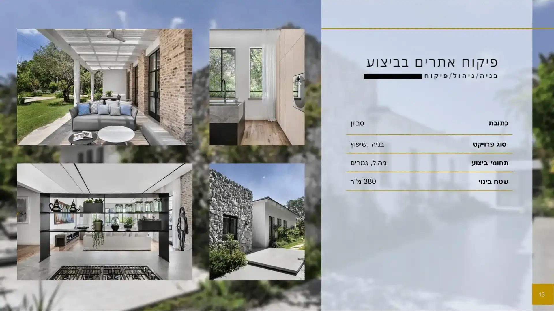 פרויקט לקוח פרטי- סביון