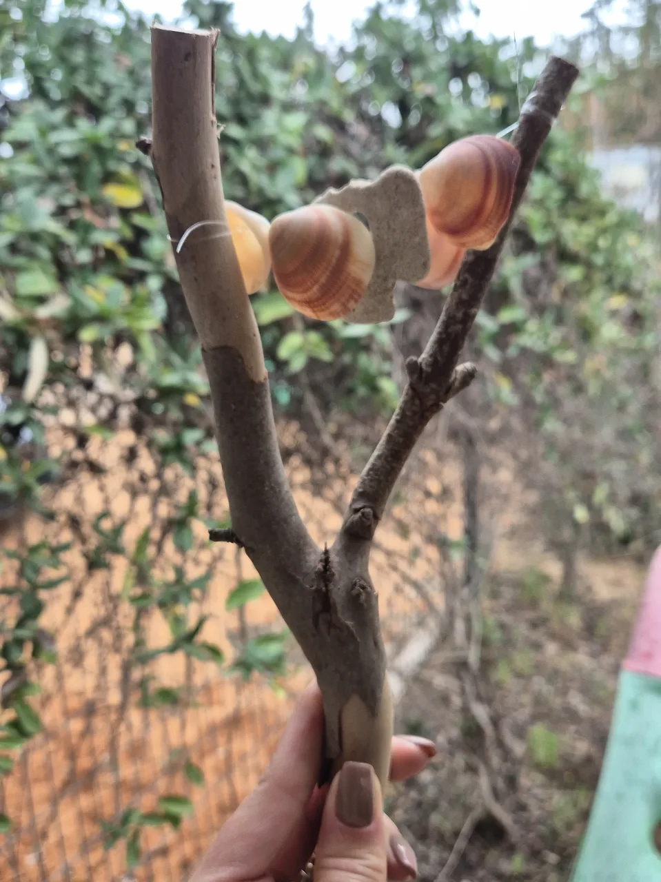 Nature Rattles: A Forest-Inspired Creative Workshop