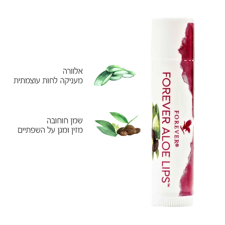  שפתון אלו ליפס