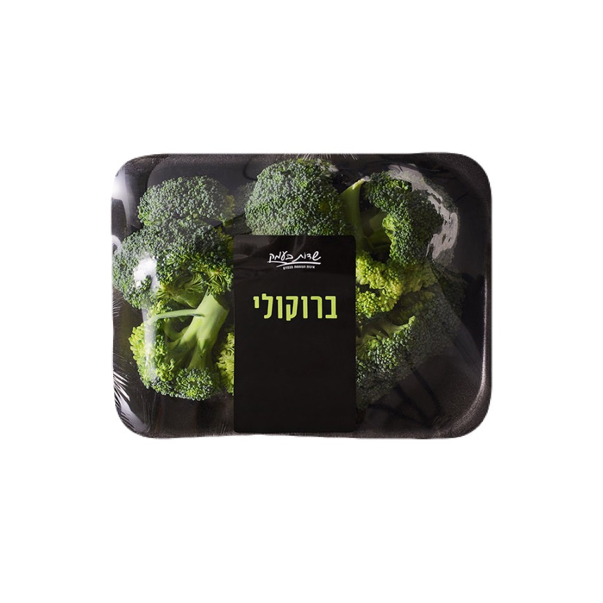 ברוקולי  - שדות בעמק